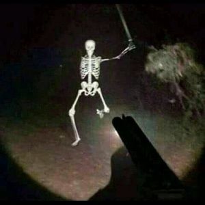 Meet your Posher, Dayanara